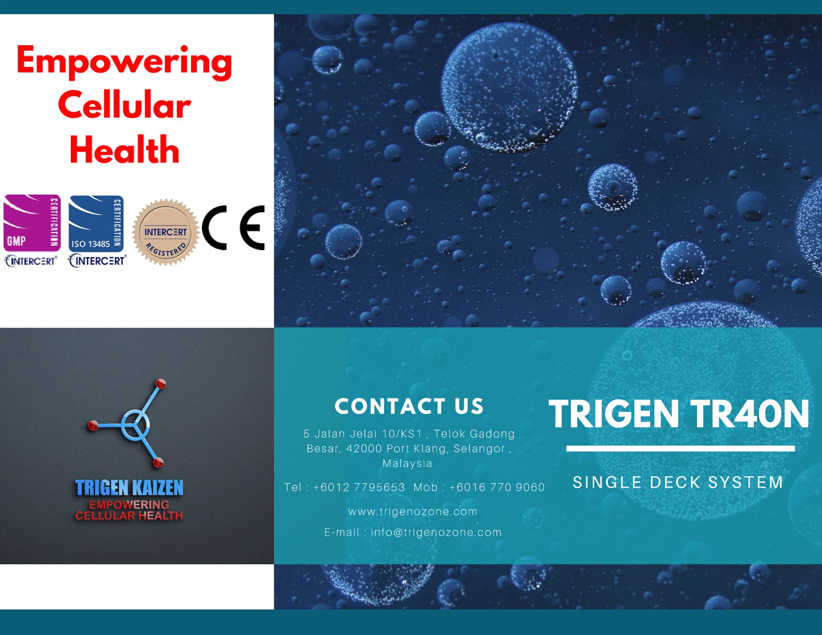 EBOO Brochure 2025 cover — Trigen Kaizen empowering cellular health, TR40N single deck system