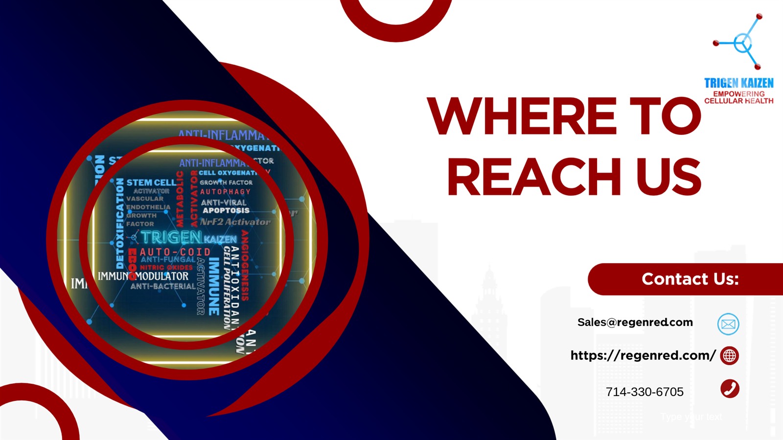 Where to reach Regenred — contact details