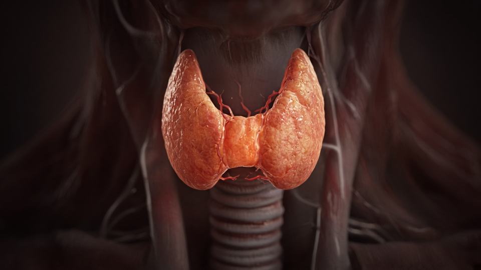 Full Thyroid, Not TSH Alone
