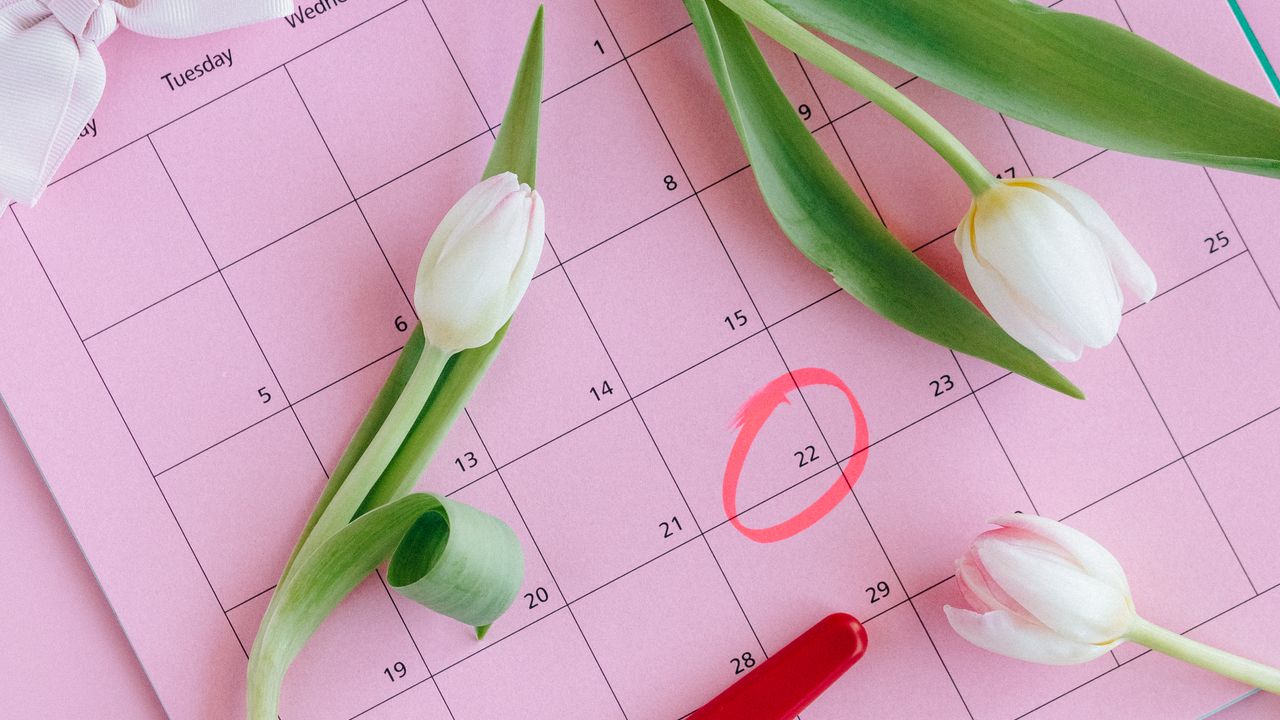 Fertility Health Coaching: Preconception Planning for Both Partners